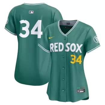 Women's Boston Red Sox David Ortiz Nike Green 2025 City Connect Limited Retired Player Jersey Women's Boston Red Sox David Ortiz Nike Green 2025 City Connect Limited Retired Player Jersey