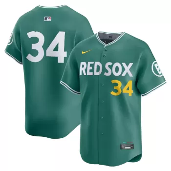 Men's Boston Red Sox David Ortiz Nike Green 2025 City Connect Limited Retired Player Jersey Men's Boston Red Sox David Ortiz Nike Green 2025 City Connect Limited Retired Player Jersey