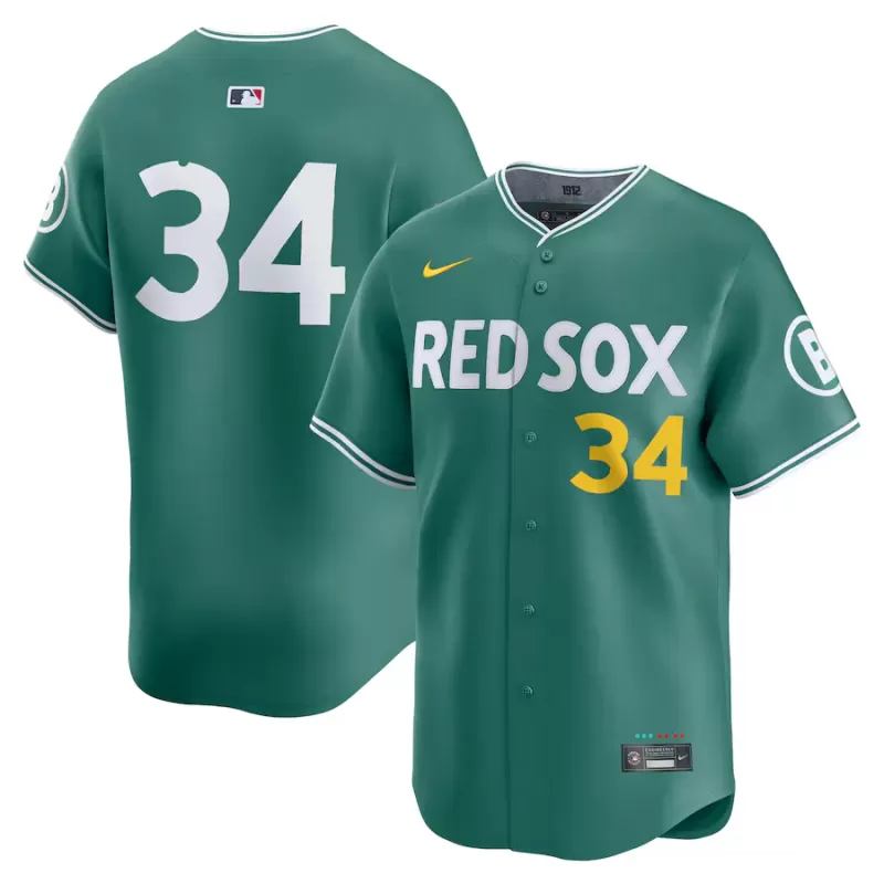 Men's Boston Red Sox David Ortiz Nike Green 2025 City Connect Limited Retired Player Jersey Men's Boston Red Sox David Ortiz Nike Green 2025 City Connect Limited Retired Player Jersey