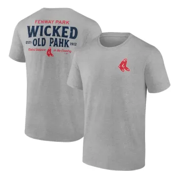 Men's Boston Red Sox Heather Gray Hometown Collection Old Fenway T-Shirt Men's Boston Red Sox Heather Gray Hometown Collection Old Fenway T-Shirt