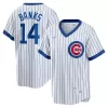 Men's Chicago Cubs Ernie Banks Nike White Home Cooperstown Collection Player Jersey Men's Chicago Cubs Ernie Banks Nike White Home Cooperstown Collection Player Jersey