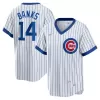 Men's Chicago Cubs Ernie Banks Nike White Home Cooperstown Collection Player Jersey Men's Chicago Cubs Ernie Banks Nike White Home Cooperstown Collection Player Jersey
