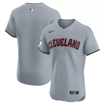 Men's Cleveland Guardians Nike Gray Alternate Vapor Premier Elite Patch Jersey