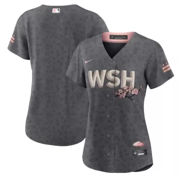 Women's Washington Nationals Nike Gray City Connect Replica Team Jersey