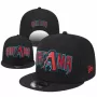 Arizona Diamondbacks 