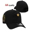 Toronto Blue Jays Black & Gold Stitched Snapback Hat - MLB Official