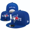 Toronto Blue Jays New Era Royal Blue Stitched Logo Snapback Hat